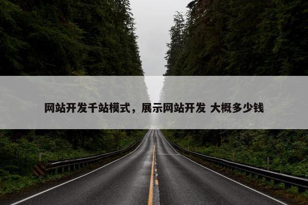 网站开发千站模式，展示网站开发 大概多少钱