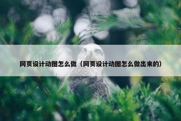 网页设计动图怎么做（网页设计动图怎么做出来的）