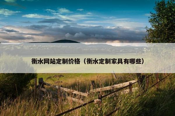 衡水网站定制价格（衡水定制家具有哪些）