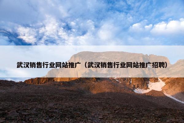 武汉销售行业网站推广（武汉销售行业网站推广招聘）