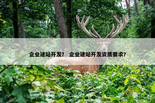 企业建站开发？ 企业建站开发资质要求？