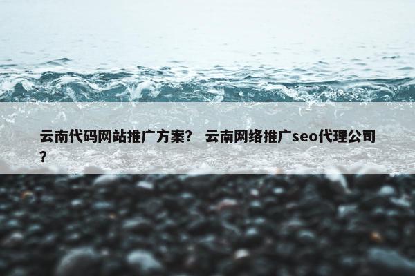 云南代码网站推广方案？ 云南网络推广seo代理公司？
