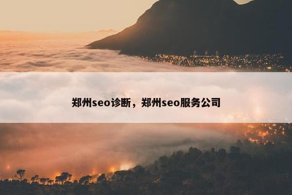 郑州seo诊断，郑州seo服务公司