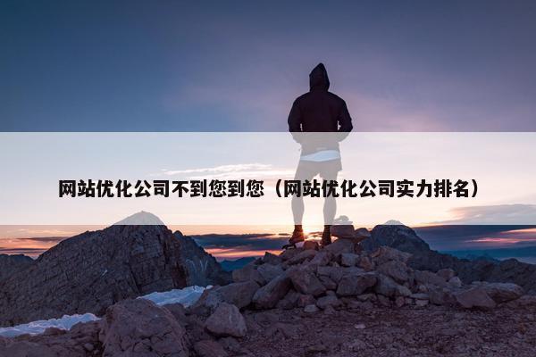 网站优化公司不到您到您（网站优化公司实力排名）