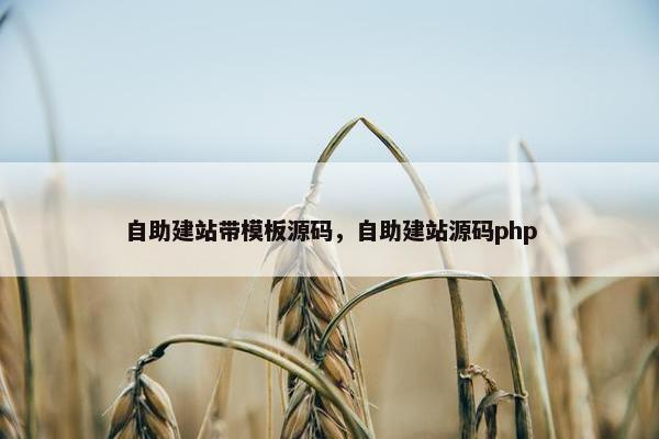 自助建站带模板源码，自助建站源码php