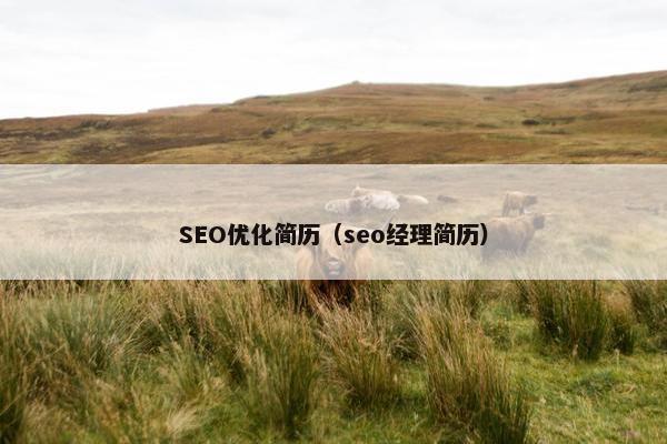 SEO优化简历（seo经理简历）