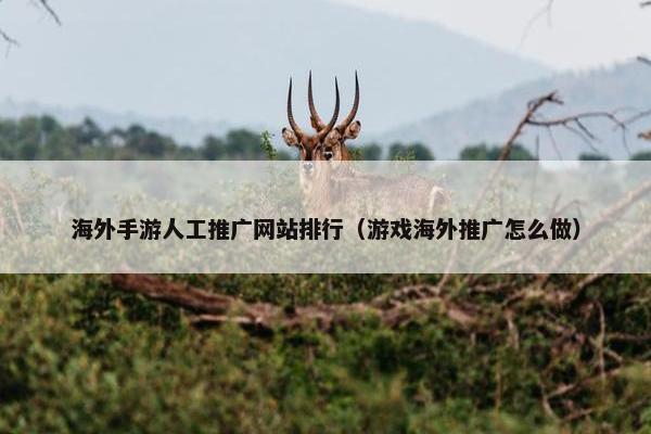 海外手游人工推广网站排行（游戏海外推广怎么做）