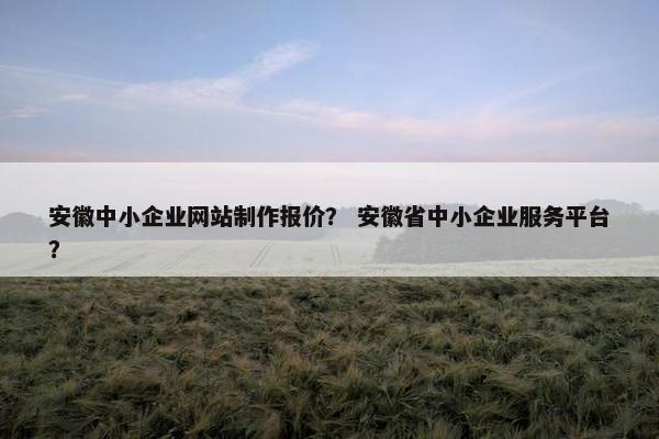 安徽中小企业网站制作报价？ 安徽省中小企业服务平台？