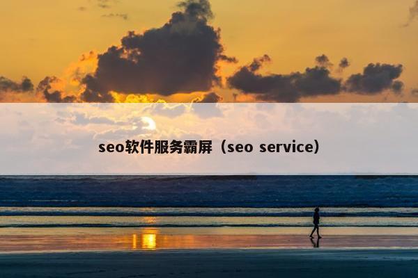 seo软件服务霸屏（seo service）