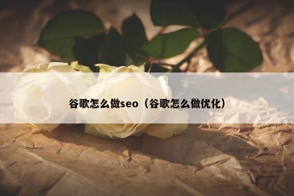 谷歌怎么做seo（谷歌怎么做优化）