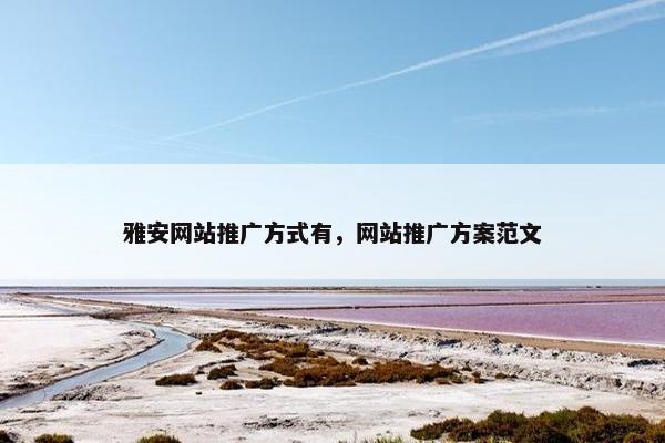 雅安网站推广方式有，网站推广方案范文