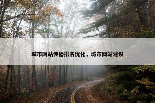 城市网站传播排名优化，城市网站建设