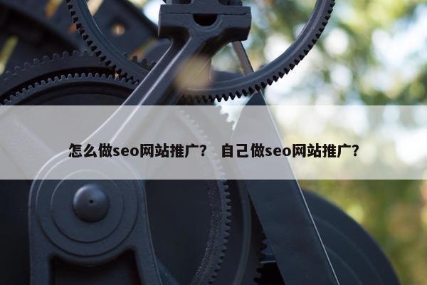 怎么做seo网站推广？ 自己做seo网站推广？