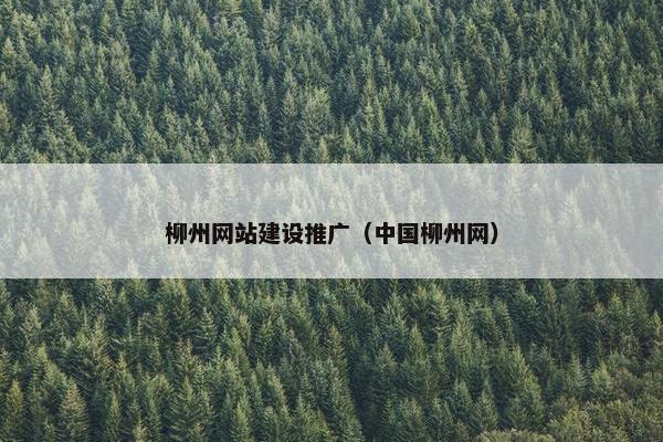 柳州网站建设推广（中国柳州网）