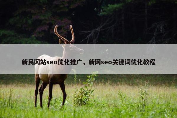 新民网站seo优化推广，新网seo关键词优化教程