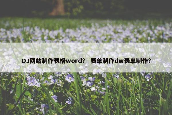 DJ网站制作表格word？ 表单制作dw表单制作？