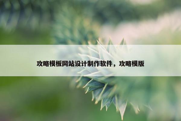 攻略模板网站设计制作软件，攻略模版