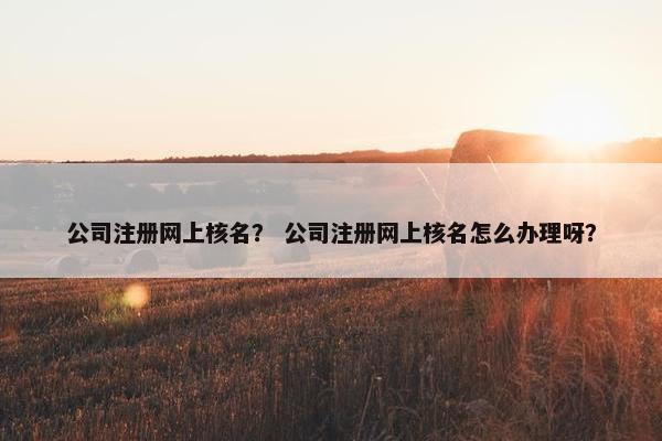 公司注册网上核名？ 公司注册网上核名怎么办理呀？