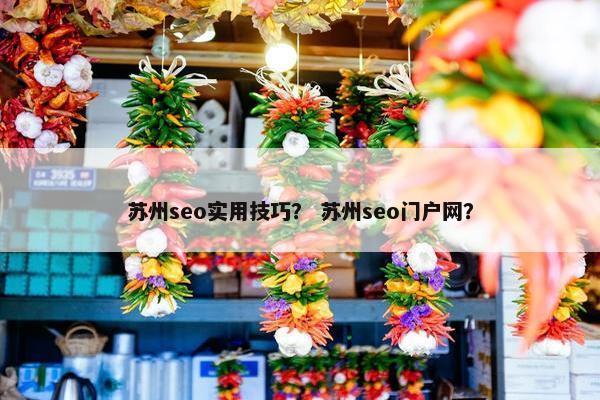 苏州seo实用技巧？ 苏州seo门户网？