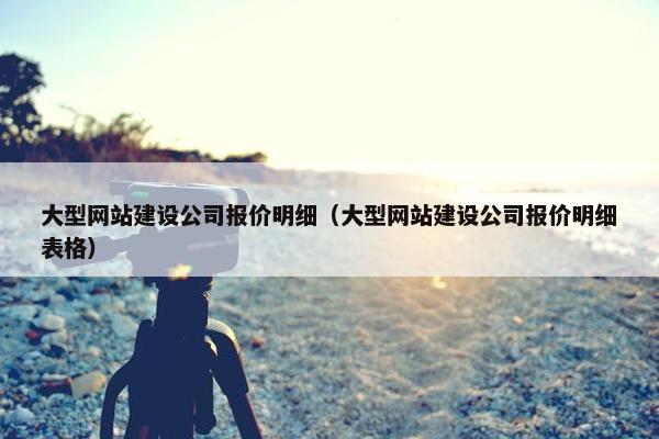大型网站建设公司报价明细（大型网站建设公司报价明细表格）