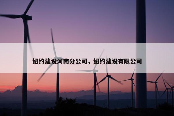 纽约建设河南分公司，纽约建设有限公司