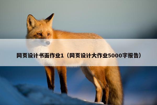 网页设计书面作业1（网页设计大作业5000字报告）