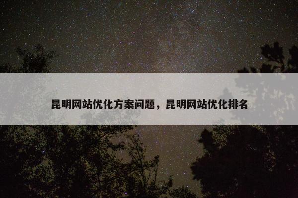 昆明网站优化方案问题，昆明网站优化排名