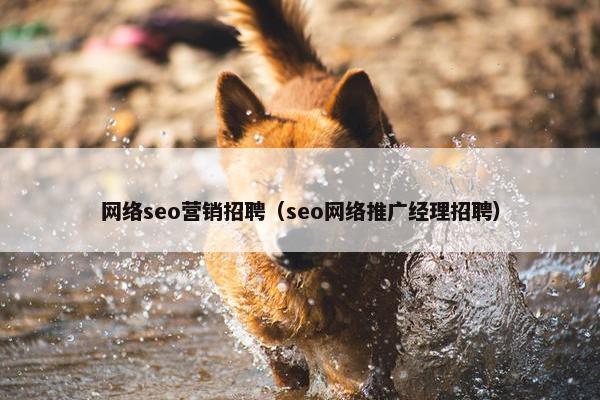 网络seo营销招聘（seo网络推广经理招聘）