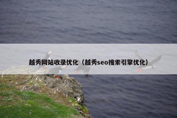 越秀网站收录优化（越秀seo搜索引擎优化）
