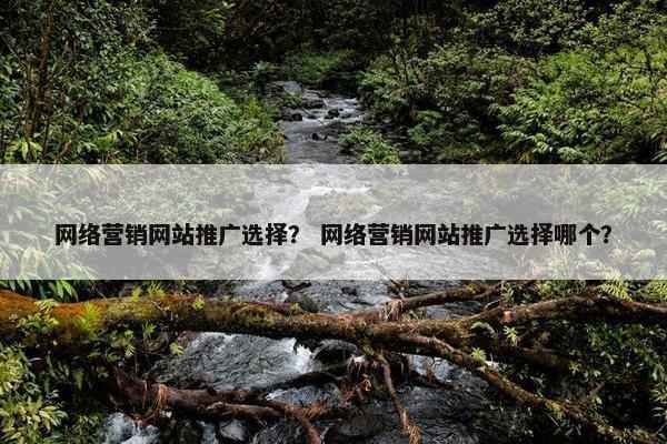 网络营销网站推广选择？ 网络营销网站推广选择哪个？