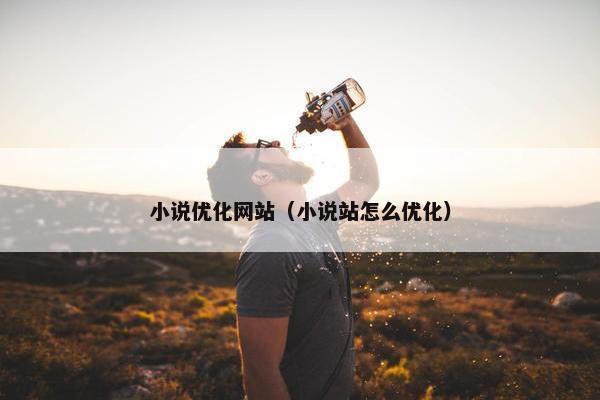 小说优化网站（小说站怎么优化）