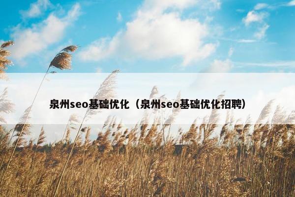 泉州seo基础优化（泉州seo基础优化招聘）