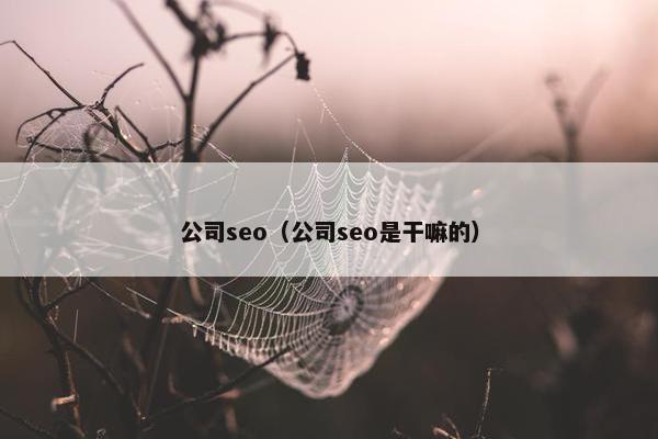 公司seo（公司seo是干嘛的）