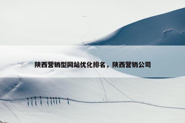 陕西营销型网站优化排名，陕西营销公司