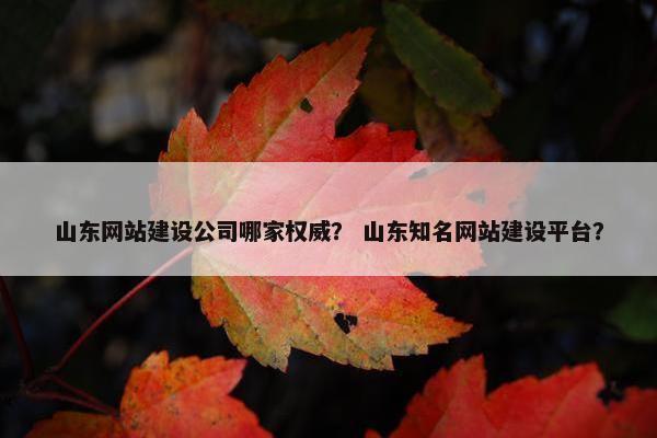 山东网站建设公司哪家权威？ 山东知名网站建设平台？