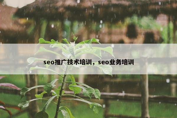 seo推广技术培训，seo业务培训