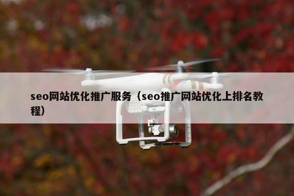 seo网站优化推广服务（seo推广网站优化上排名教程）