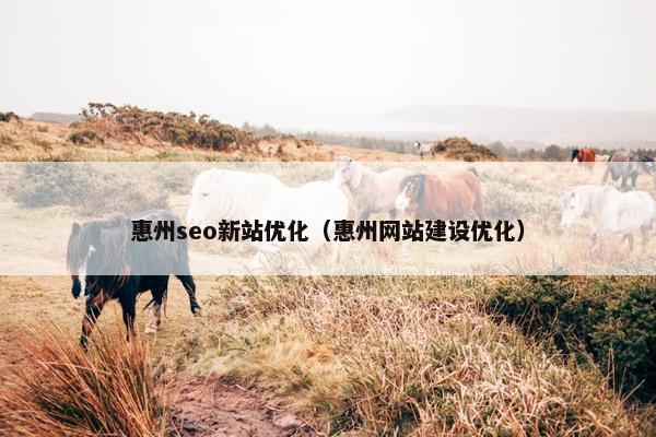 惠州seo新站优化（惠州网站建设优化）