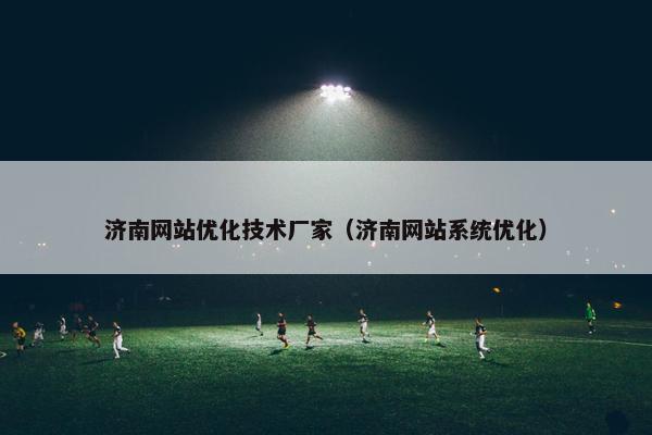 济南网站优化技术厂家（济南网站系统优化）