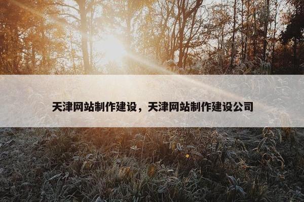 天津网站制作建设，天津网站制作建设公司