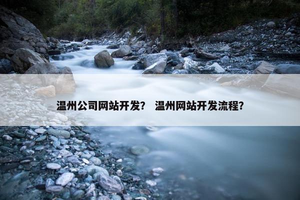 温州公司网站开发？ 温州网站开发流程？