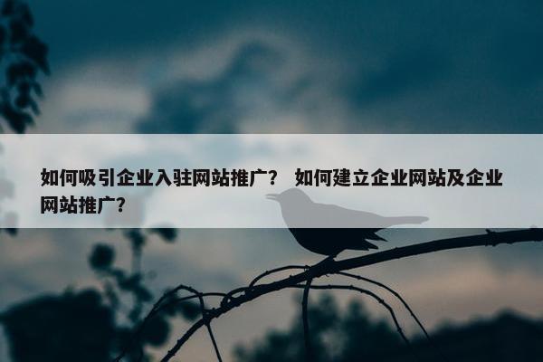 如何吸引企业入驻网站推广？ 如何建立企业网站及企业网站推广？