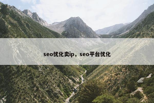 seo优化卖ip，seo平台优化