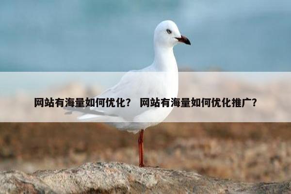 网站有海量如何优化？ 网站有海量如何优化推广？