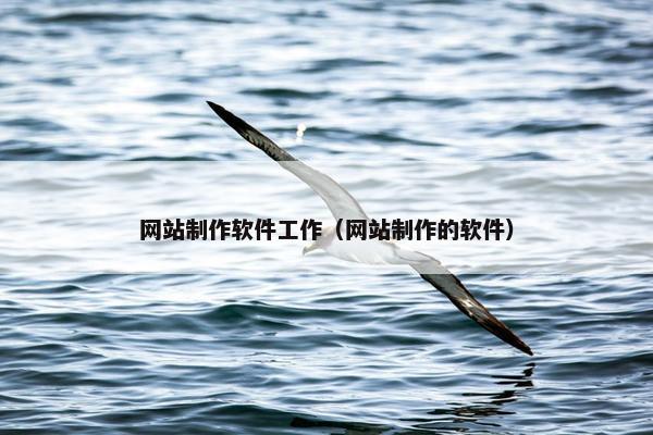 网站制作软件工作（网站制作的软件）