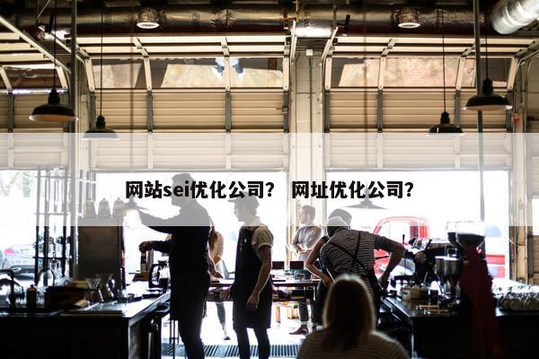 网站sei优化公司？ 网址优化公司？