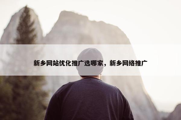 新乡网站优化推广选哪家，新乡网络推广