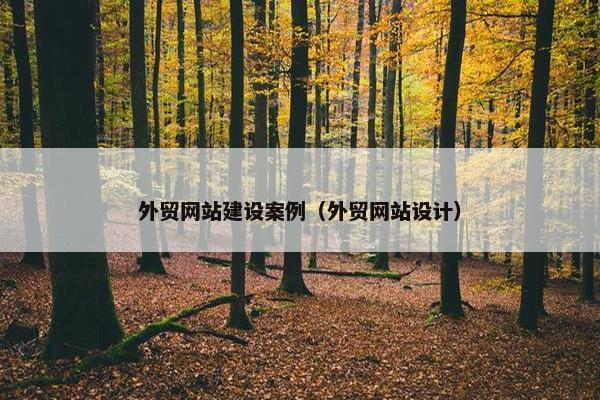 外贸网站建设案例（外贸网站设计）