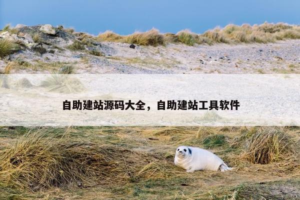 自助建站源码大全，自助建站工具软件