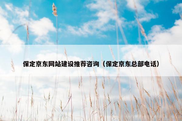 保定京东网站建设推荐咨询（保定京东总部电话）
